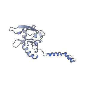 32154_7vwj_B_v1-0
Matrix arm of deactive state CI from rotenone-NADH dataset