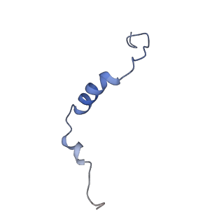 32154_7vwj_K_v1-0
Matrix arm of deactive state CI from rotenone-NADH dataset