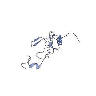 32154_7vwj_L_v1-0
Matrix arm of deactive state CI from rotenone-NADH dataset