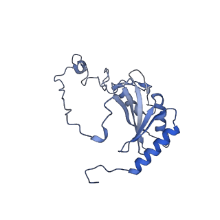 32154_7vwj_P_v1-0
Matrix arm of deactive state CI from rotenone-NADH dataset