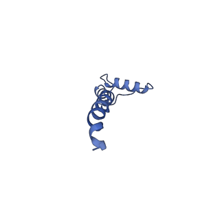 32155_7vwl_S_v1-0
Membrane arm of deactive state CI from rotenone-NADH dataset