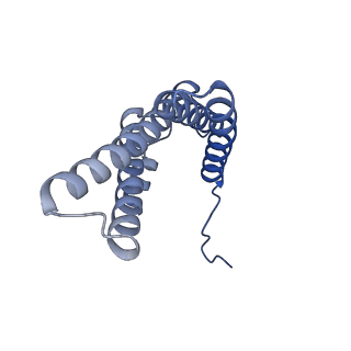 32155_7vwl_V_v1-0
Membrane arm of deactive state CI from rotenone-NADH dataset