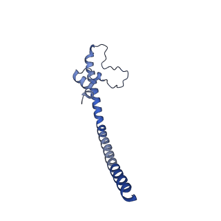 32155_7vwl_W_v1-0
Membrane arm of deactive state CI from rotenone-NADH dataset
