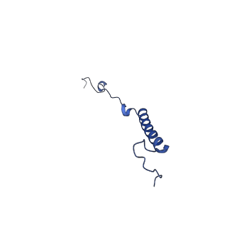 32155_7vwl_Y_v1-0
Membrane arm of deactive state CI from rotenone-NADH dataset