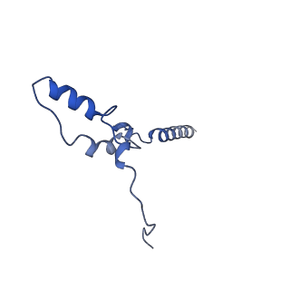 32155_7vwl_Z_v1-0
Membrane arm of deactive state CI from rotenone-NADH dataset