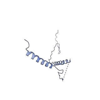 32155_7vwl_b_v1-0
Membrane arm of deactive state CI from rotenone-NADH dataset