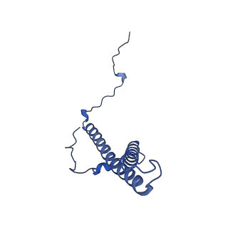 32155_7vwl_g_v1-0
Membrane arm of deactive state CI from rotenone-NADH dataset