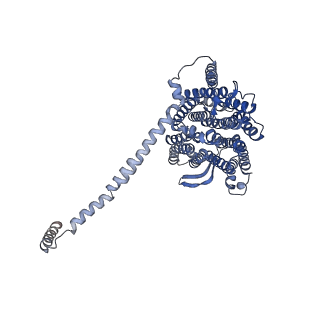32155_7vwl_l_v1-0
Membrane arm of deactive state CI from rotenone-NADH dataset
