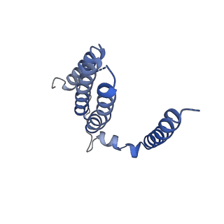 32155_7vwl_m_v1-0
Membrane arm of deactive state CI from rotenone-NADH dataset