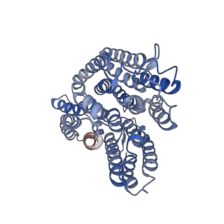 32155_7vwl_r_v1-0
Membrane arm of deactive state CI from rotenone-NADH dataset