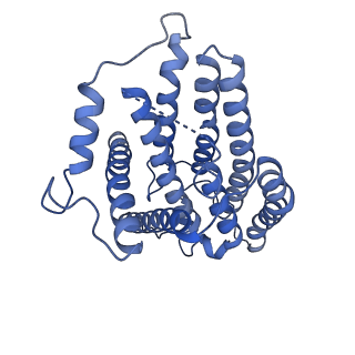 32155_7vwl_s_v1-0
Membrane arm of deactive state CI from rotenone-NADH dataset