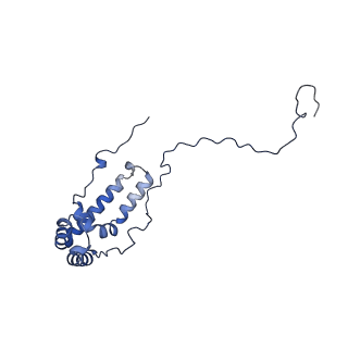 32155_7vwl_u_v1-0
Membrane arm of deactive state CI from rotenone-NADH dataset