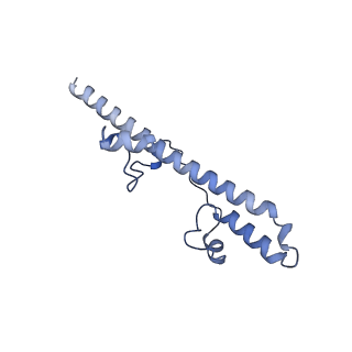 32155_7vwl_v_v1-0
Membrane arm of deactive state CI from rotenone-NADH dataset