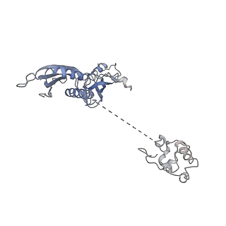 32165_7vwy_A_v1-3
Cryo-EM structure of Rob-dependent transcription activation complex in a unique conformation