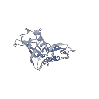 32165_7vwy_B_v1-3
Cryo-EM structure of Rob-dependent transcription activation complex in a unique conformation