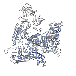 32165_7vwy_D_v1-3
Cryo-EM structure of Rob-dependent transcription activation complex in a unique conformation