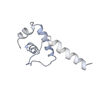 32165_7vwy_E_v1-3
Cryo-EM structure of Rob-dependent transcription activation complex in a unique conformation