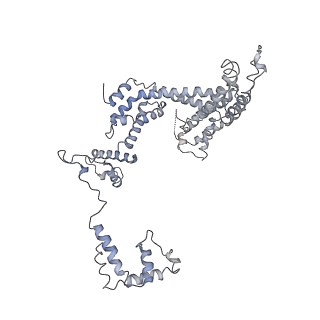 32165_7vwy_F_v1-3
Cryo-EM structure of Rob-dependent transcription activation complex in a unique conformation