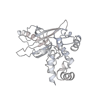 32165_7vwy_G_v1-3
Cryo-EM structure of Rob-dependent transcription activation complex in a unique conformation