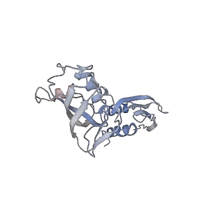 32166_7vwz_B_v1-2
Cryo-EM structure of Rob-dependent transcription activation complex in a unique conformation