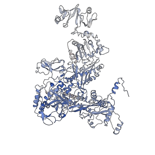 32166_7vwz_C_v1-2
Cryo-EM structure of Rob-dependent transcription activation complex in a unique conformation