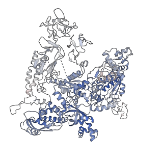 32166_7vwz_D_v1-2
Cryo-EM structure of Rob-dependent transcription activation complex in a unique conformation