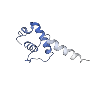 32166_7vwz_E_v1-2
Cryo-EM structure of Rob-dependent transcription activation complex in a unique conformation