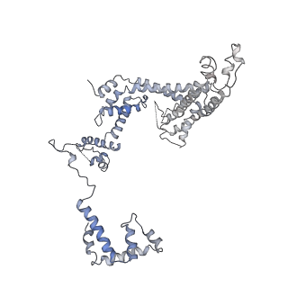 32166_7vwz_F_v1-2
Cryo-EM structure of Rob-dependent transcription activation complex in a unique conformation