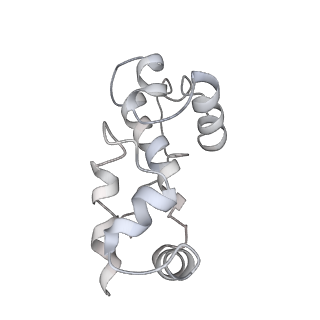32166_7vwz_G_v1-2
Cryo-EM structure of Rob-dependent transcription activation complex in a unique conformation