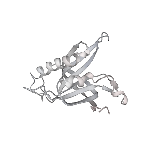 32166_7vwz_I_v1-2
Cryo-EM structure of Rob-dependent transcription activation complex in a unique conformation