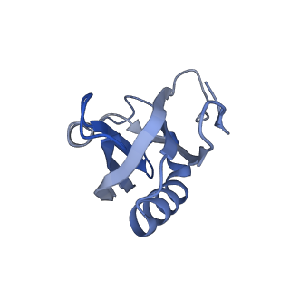 21429_6vx4_A_v1-2
Density-fitted Model Structure of Antibody Variable Domains of TyTx11 in Complex with Typhoid Toxin