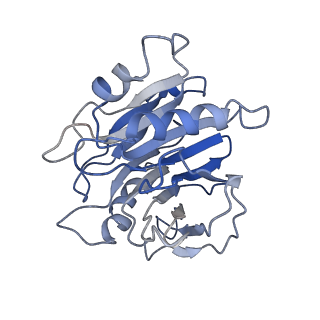 21429_6vx4_F_v1-2
Density-fitted Model Structure of Antibody Variable Domains of TyTx11 in Complex with Typhoid Toxin