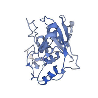 21429_6vx4_G_v1-2
Density-fitted Model Structure of Antibody Variable Domains of TyTx11 in Complex with Typhoid Toxin