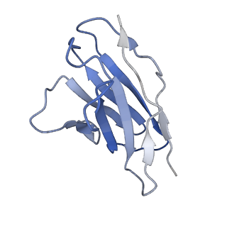 21429_6vx4_K_v1-2
Density-fitted Model Structure of Antibody Variable Domains of TyTx11 in Complex with Typhoid Toxin