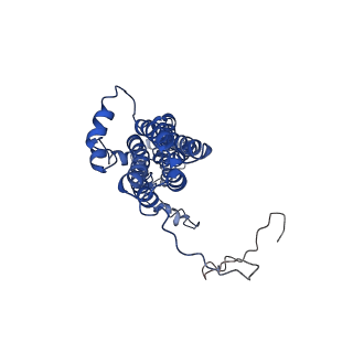 21431_6vx6_C_v1-2
bestrophin-2 Ca2+-bound state (250 nM Ca2+)