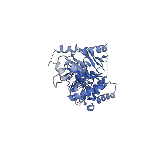 21436_6vxf_A_v1-1
Structure of apo-closed ABCG2
