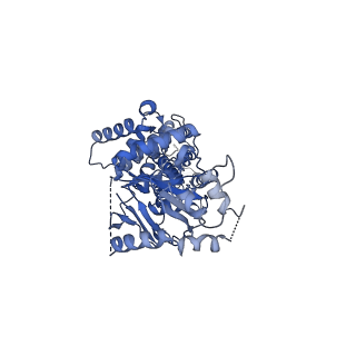 21436_6vxf_B_v1-1
Structure of apo-closed ABCG2