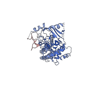 21437_6vxh_A_v1-1
Structure of ABCG2 bound to imatinib
