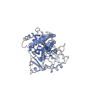 21437_6vxh_B_v1-1
Structure of ABCG2 bound to imatinib