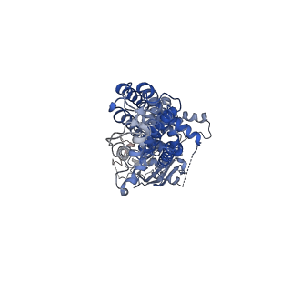 21438_6vxi_A_v1-1
Structure of ABCG2 bound to mitoxantrone