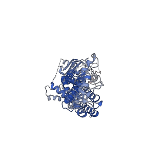 21438_6vxi_B_v1-1
Structure of ABCG2 bound to mitoxantrone