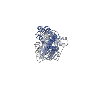 21440_6vxj_A_v1-1
Structure of ABCG2 bound to SN38