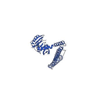 21444_6vxm_A_v1-2
Cryo-EM structure of Arabidopsis thaliana MSL1