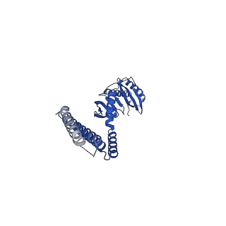 21444_6vxm_C_v1-2
Cryo-EM structure of Arabidopsis thaliana MSL1