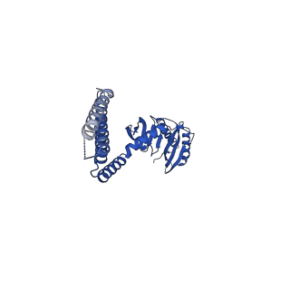 21444_6vxm_D_v1-2
Cryo-EM structure of Arabidopsis thaliana MSL1