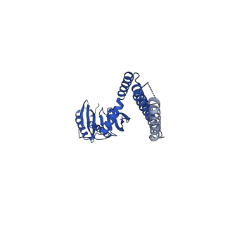 21444_6vxm_G_v1-2
Cryo-EM structure of Arabidopsis thaliana MSL1