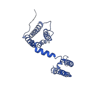 21446_6vxo_C_v1-2
NaChBac-Nav1.7VSDII chimera in nanodisc