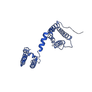 21446_6vxo_D_v1-2
NaChBac-Nav1.7VSDII chimera in nanodisc