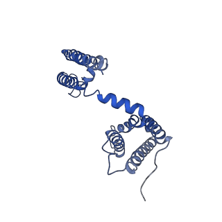 21446_6vxo_E_v1-2
NaChBac-Nav1.7VSDII chimera in nanodisc