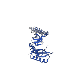 21447_6vxp_A_v1-2
Cryo-EM structure of Arabidopsis thaliana MSL1 in lipid nanodisc